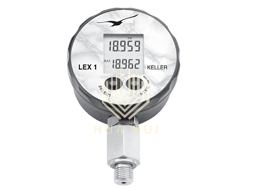 LEX1(EI)高精度数字压力表
